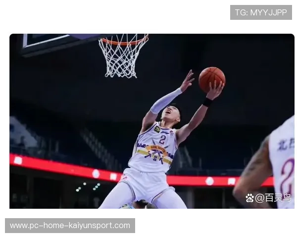 CBA篮板大战惨烈:谁能笑到最后? CBA篮板大战惨烈:谁能笑到最后?