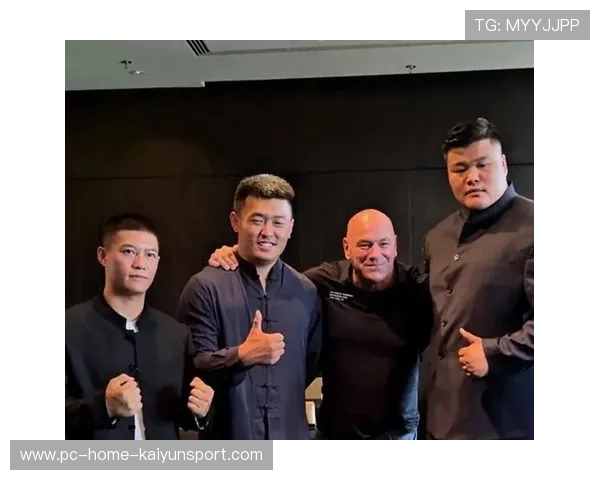 UFC爆头一击结束战斗——震撼瞬间彰显极致格斗魅力